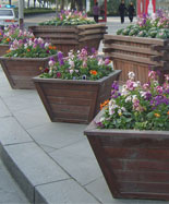 ����ľ����΂�(g��)����HT-HX170