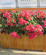 �҃�(n��i)�������ľ���⻨��HT-HX570