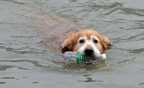  ��(��i)��ƿ�ӵĭh(hu��n)������ ����(d��ng)��ƿ�ӁG����Ͱ