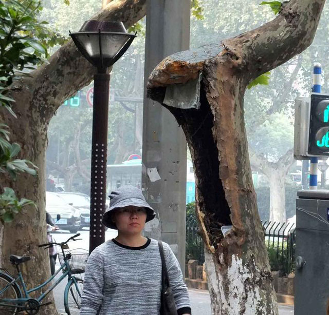 ��ͩ��(sh��)�S��������Ӱ����ݴ��ڰ�ȫ�[��